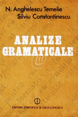 Analize gramaticale (1985) foto