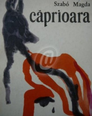 Caprioara. Pomana porcului foto