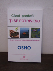 CAND PANTOFII TI SE POTRIVESC-OSHO foto