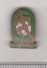 bnk ins Insigna Pionier Tot Inainte pentru activitati sportive