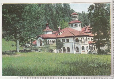 bnk cp Sinaia - Foisorul - necirculata foto