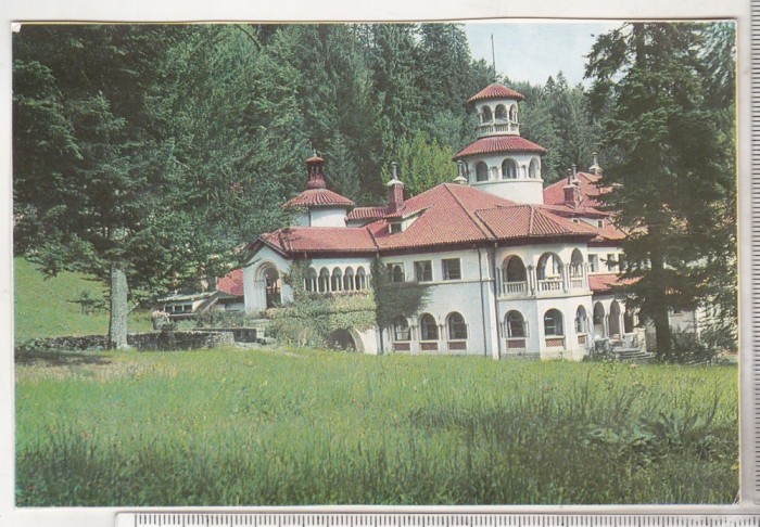 bnk cp Sinaia - Foisorul - necirculata