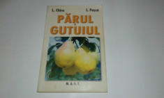 L.CHIRA \ I.PASCA - PARUL SI GUTUIUL foto