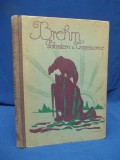 BREHM - POLARSTERN UND TROPENSONNE ( CALATORIE,VANATOARE,POV. CU ANIMALE) - 1925