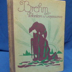 BREHM - POLARSTERN UND TROPENSONNE ( CALATORIE,VANATOARE,POV. CU ANIMALE) ,1925+