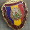 ZET 769 INSIGNA ,,MILITAR DE FRUNTE&quot; - PERIOADA RSR - PENTRU NOSTALGICI