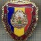 ZET 716 INSIGNA ,,MILITAR DE FRUNTE&quot; - PERIOADA RSR - PENTRU NOSTALGICI