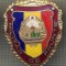 ZET 766 INSIGNA ,,MILITAR DE FRUNTE&quot; - PERIOADA RSR - PENTRU NOSTALGICI