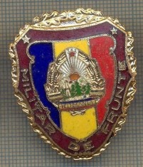 ZET 742 INSIGNA ,,MILITAR DE FRUNTE" - PERIOADA RSR - PENTRU NOSTALGICI