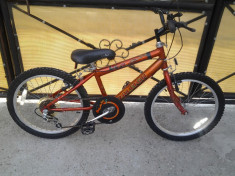 Raliegh Max - bicicleta copii 20&amp;quot; (7-12 ani) foto