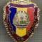 ZET 698 INSIGNA ,,MILITAR DE FRUNTE&quot; - PERIOADA RSR - PENTRU NOSTALGICI