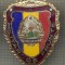 ZET 736 INSIGNA ,,MILITAR DE FRUNTE&quot; - PERIOADA RSR - PENTRU NOSTALGICI