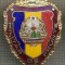 ZET 738 INSIGNA ,,MILITAR DE FRUNTE&quot; - PERIOADA RSR - PENTRU NOSTALGICI