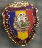 ZET 729 INSIGNA ,,MILITAR DE FRUNTE&quot; - PERIOADA RSR - PENTRU NOSTALGICI