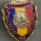 ZET 729 INSIGNA ,,MILITAR DE FRUNTE&quot; - PERIOADA RSR - PENTRU NOSTALGICI