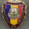 ZET 697 INSIGNA ,,MILITAR DE FRUNTE&quot; - PERIOADA RSR - PENTRU NOSTALGICI