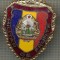 ZET 701 INSIGNA ,,MILITAR DE FRUNTE&quot; - PERIOADA RSR - PENTRU NOSTALGICI