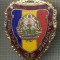 ZET 690 INSIGNA ,,MILITAR DE FRUNTE&quot; - PERIOADA RSR - PENTRU NOSTALGICI