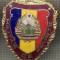ZET 771 INSIGNA ,,MILITAR DE FRUNTE&quot; - PERIOADA RSR - PENTRU NOSTALGICI