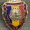ZET 719 INSIGNA ,,MILITAR DE FRUNTE&quot; - PERIOADA RSR - PENTRU NOSTALGICI