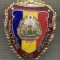 ZET 707 INSIGNA ,,MILITAR DE FRUNTE&quot; - PERIOADA RSR - PENTRU NOSTALGICI