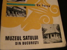 MUZEUL SATULUI DIN BUCURESTI-GH. FOCSA- foto