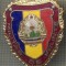 ZET 730 INSIGNA ,,MILITAR DE FRUNTE&quot; - PERIOADA RSR - PENTRU NOSTALGICI