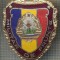 ZET 775 INSIGNA ,,MILITAR DE FRUNTE&quot; - PERIOADA RSR - PENTRU NOSTALGICI