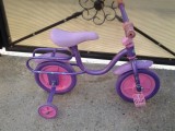 Bicicleta Copii Sofia the First 10 inch, 2-4 Ani, Roti Ajutatoare, Cadru Metalic, Scaun Ajustabil