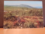 SUEDIA - PEISAJ DIN NORRLAND- FARGERNAS LAND STENFJALLET- NECIRCULATA,TIMBRATA