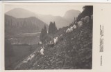 TRANSILVANIA MUNTII GHERGHIULUI LACUL GHILCOS EDITURA FRATII VAKAR