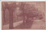 BAILE DIN COVASNA PARCUL CIRCULATA 1922, Printata