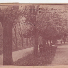 BAILE DIN COVASNA PARCUL CIRCULATA 1922