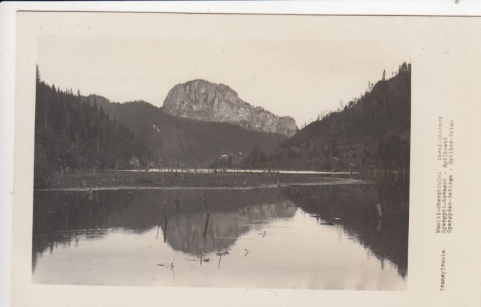 TRANSILVANIA MUNTII GHERGHIULUI LACUL GHILCOS EDITURA FRATII VAKAR