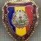 ZET 782 INSIGNA ,,MILITAR DE FRUNTE&quot; - PERIOADA RSR - PENTRU NOSTALGICI