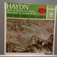 HAYDN - MISSA in HONEREM/MISSA BREVIS (1974/PHILIPS/HOLLAND) - VINIL