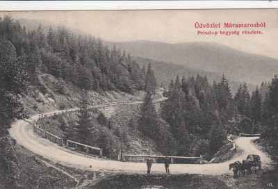 SALUTARI DIN TARGU MURES CIRCULATA 1909 foto