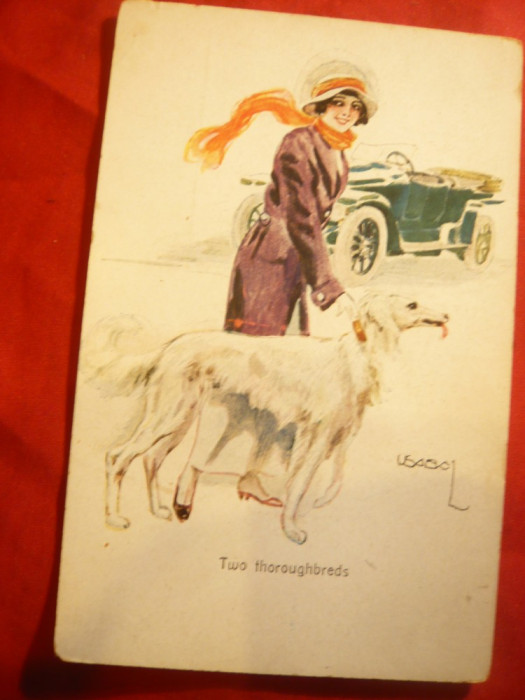 Ilustrata - Femeie , caine , automobil - semnata