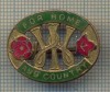 ZET 903 INSIGNA -,,FOR HOME AND COUNTRY&quot;- DEVIZA A FEMEILOR DIN PRIMUL RAZBOI