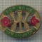 ZET 903 INSIGNA -,,FOR HOME AND COUNTRY&quot;- DEVIZA A FEMEILOR DIN PRIMUL RAZBOI