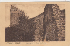 CODLEA (BRASOV) , TURNU TESATORILOR CIRCULATA 1925 foto