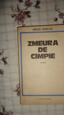 Zmeura de campie ( roman impotriva memoriei )238pag/an 1984- Mircea Nedelciu foto