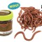 Borcan rame silicon Baracuda Putenic aromatizate (earthworms)