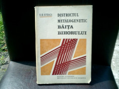 Districtul metalogenetic Baita Bihorului - S. D. Stoici foto