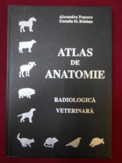 Alexandru Popescu - Atlas De Anatomie. Radiologie Veterinara foto