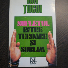 SUFLETUL INTRE TEROARE SI SUBLIM - Ion Tugui - Editura R.A.I., 1995, 172 p.