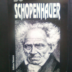 Th. Ruyssen - Schopenhauer (Editura Tehnica, 1995)