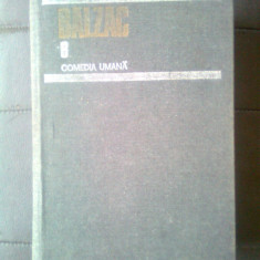 Balzac - Comedia umana 8. Studii de moravuri. Scene din viata de provincie (urm)