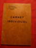 Carnet Individual - Antrepriza Davidescu