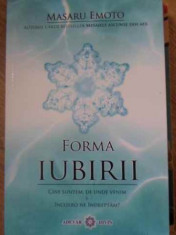 Forma Iubirii - Masaru Emoto ,398425 foto